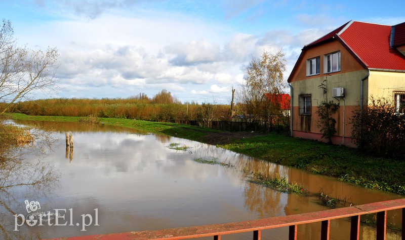 Wysoka woda na Żuławach zdjęcie nr 163796
