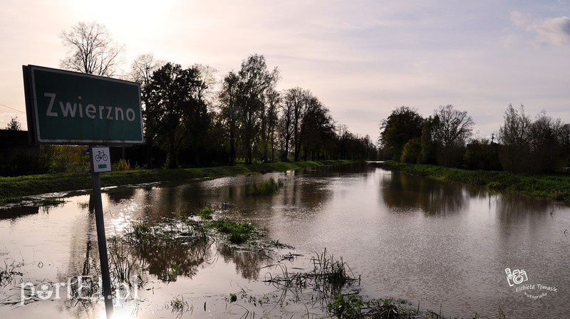 Wysoka woda na Żuławach zdjęcie nr 163799