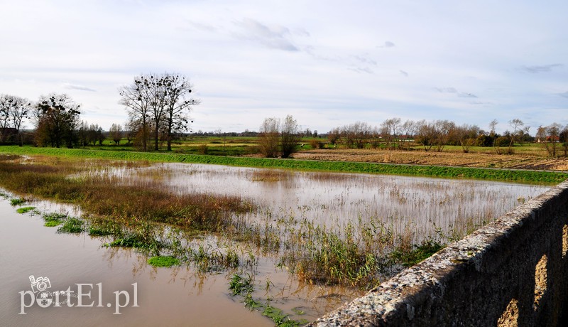 Wysoka woda na Żuławach zdjęcie nr 163802