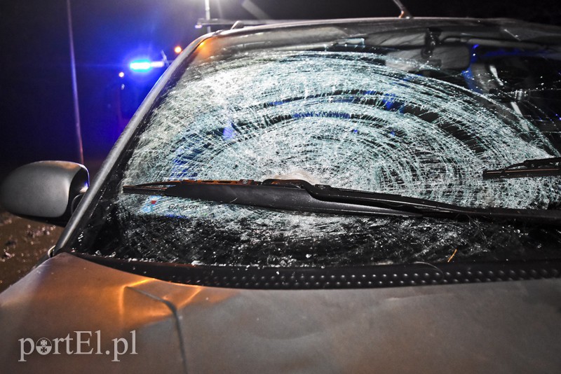 Śmiertelne potrącenie kobiety na trasie S7 zdjęcie nr 164884