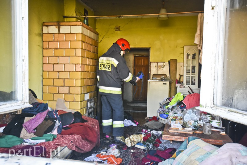  Pożar na ul. Skrzydlatej i w Gronowie Elbląskim zdjęcie nr 164908