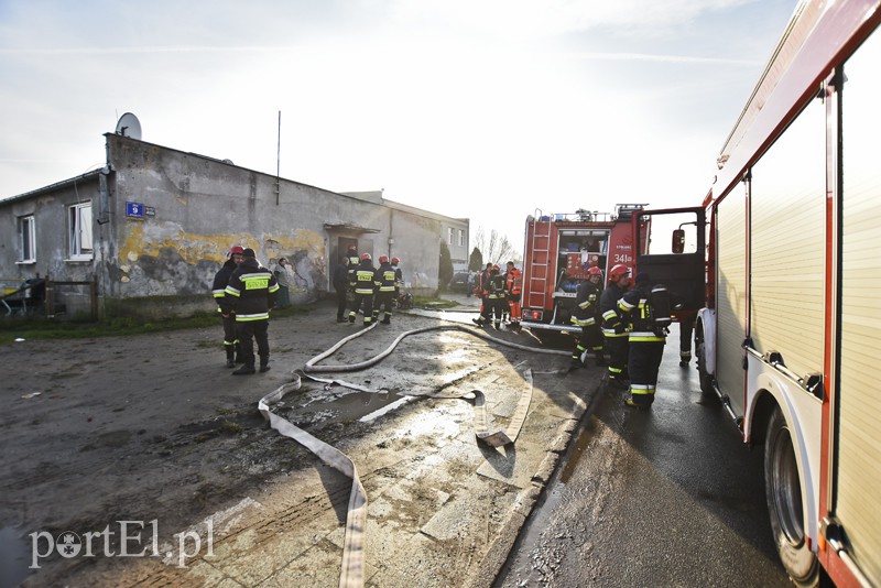  Pożar na ul. Skrzydlatej i w Gronowie Elbląskim zdjęcie nr 164915