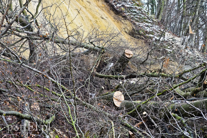 Skarpa z drzewami osunęła się na drogę zdjęcie nr 165578