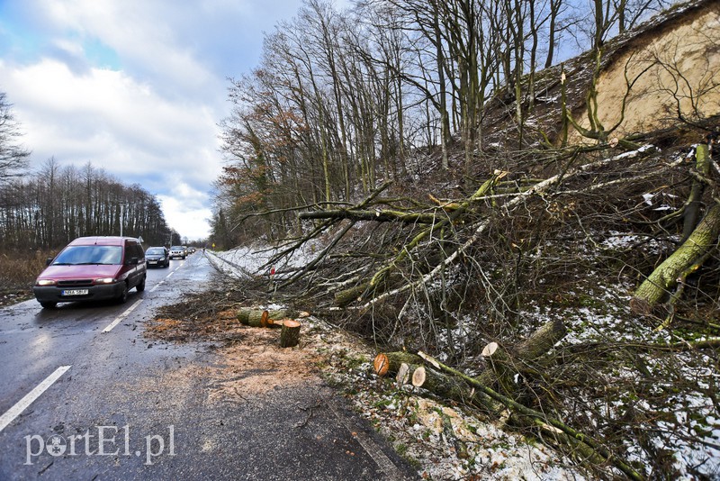 Skarpa z drzewami osunęła się na drogę zdjęcie nr 165579