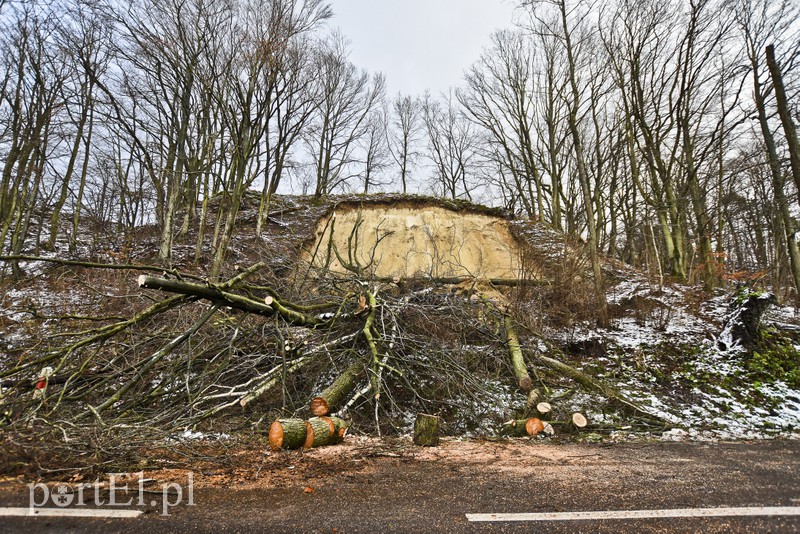 Skarpa z drzewami osunęła się na drogę zdjęcie nr 165575