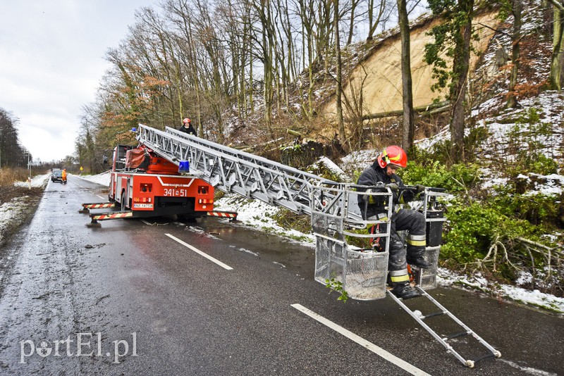 Skarpa z drzewami osunęła się na drogę zdjęcie nr 165574