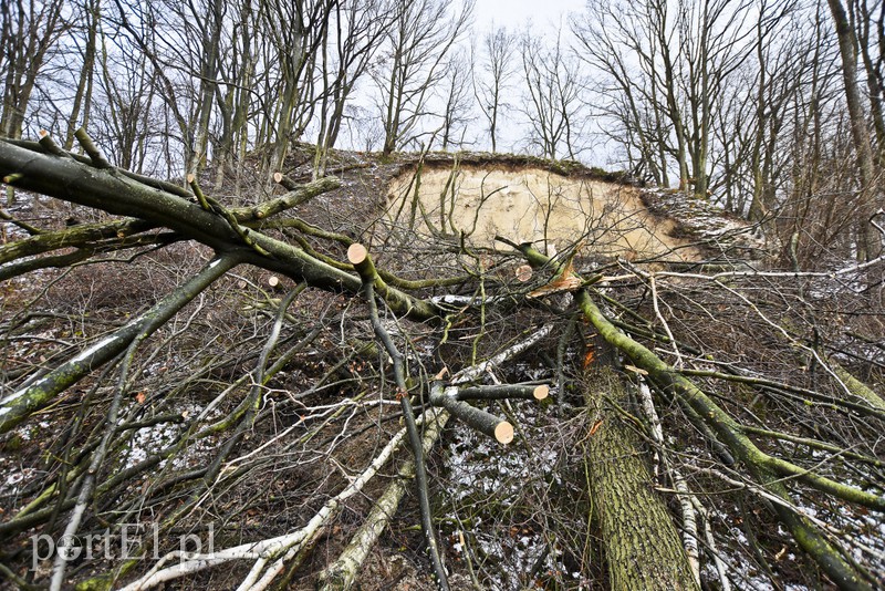 Skarpa z drzewami osunęła się na drogę zdjęcie nr 165580