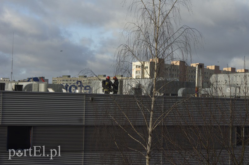 Alarm w CH Ogrody na zdjęciach Czytelnika zdjęcie nr 166744