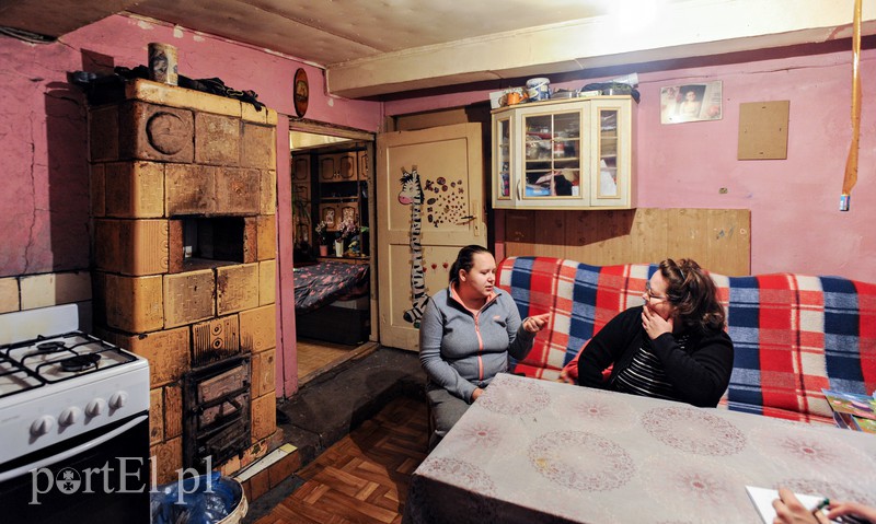 Żółwiniec zdjęcie nr 166829