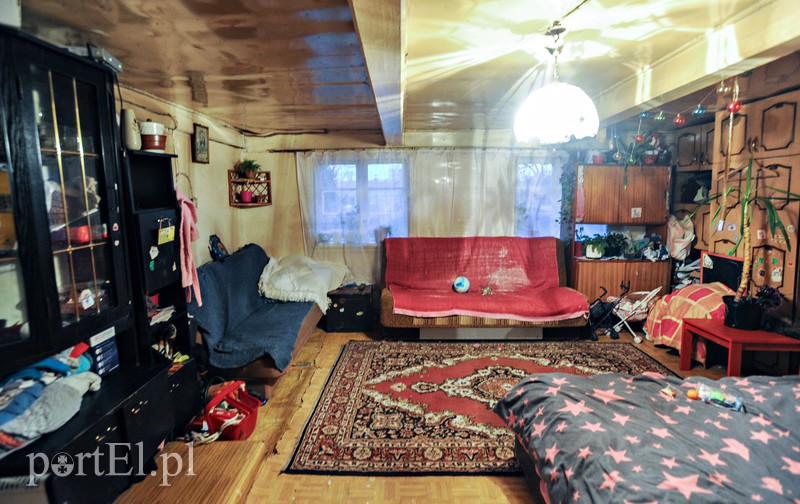 Żółwiniec zdjęcie nr 166831