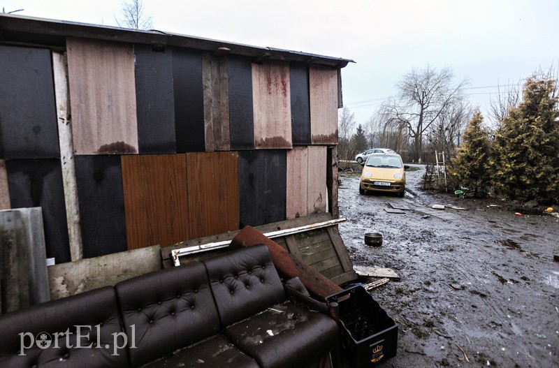 Żółwiniec zdjęcie nr 166828