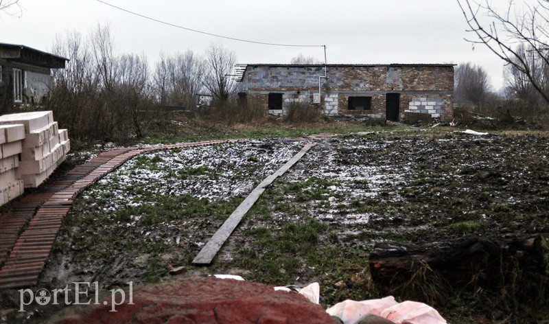 Żółwiniec zdjęcie nr 166835