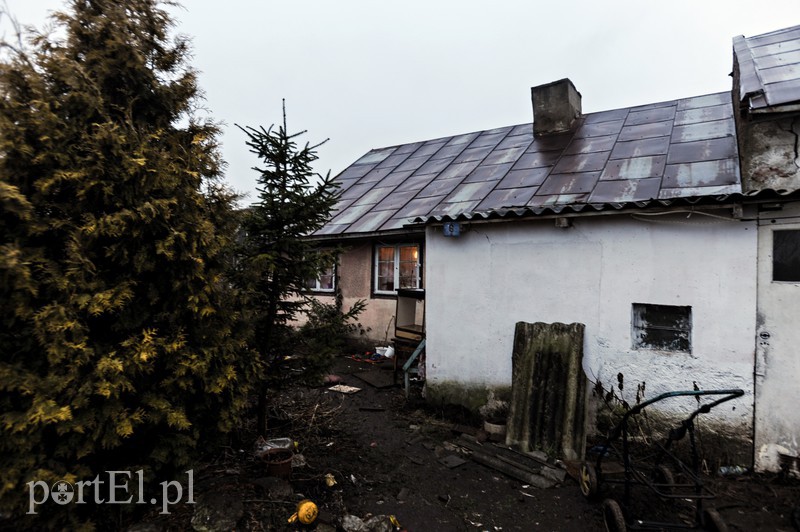 Żółwiniec zdjęcie nr 166825