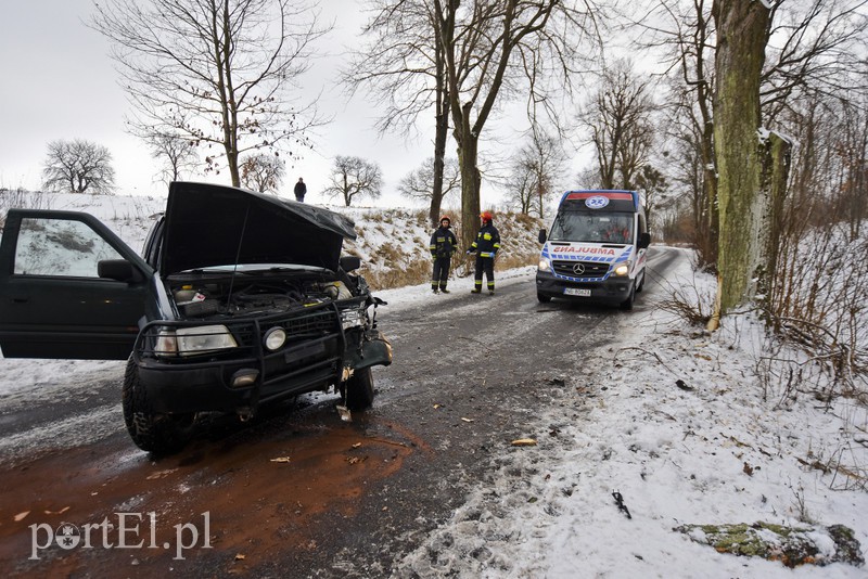 Autem uderzył w drzewo zdjęcie nr 168127