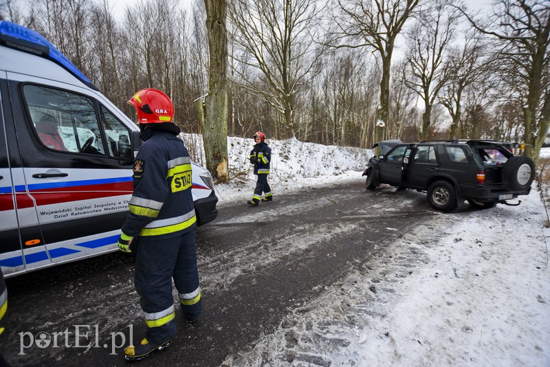 Autem uderzył w drzewo zdjęcie nr 168117