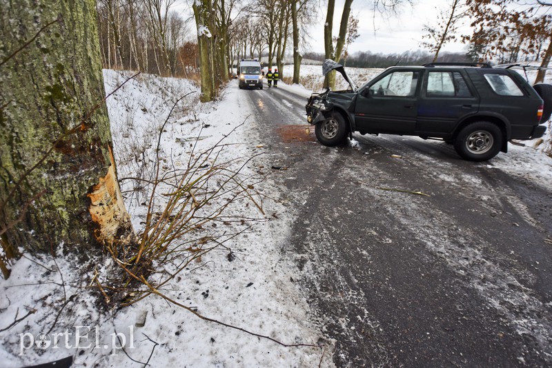 Autem uderzył w drzewo zdjęcie nr 168119