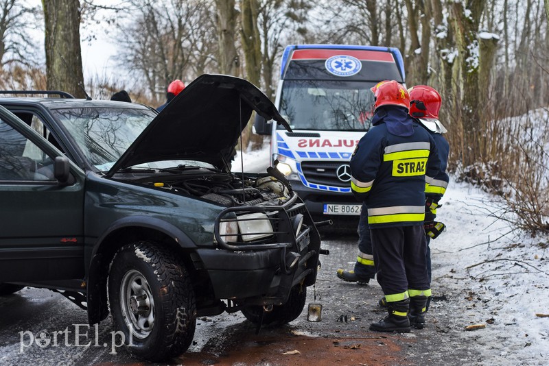 Autem uderzył w drzewo zdjęcie nr 168116