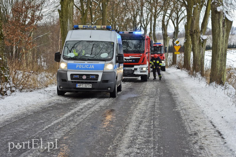 Autem uderzył w drzewo zdjęcie nr 168122