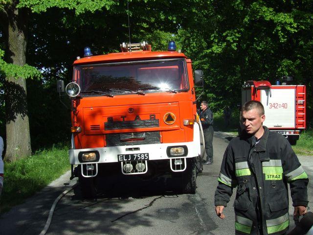 Uderzył w drzewo i stanął w płomieniach zdjęcie nr 13234