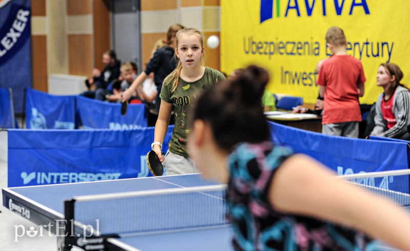 Ferie (zdez)organizowane zdjęcie nr 169004