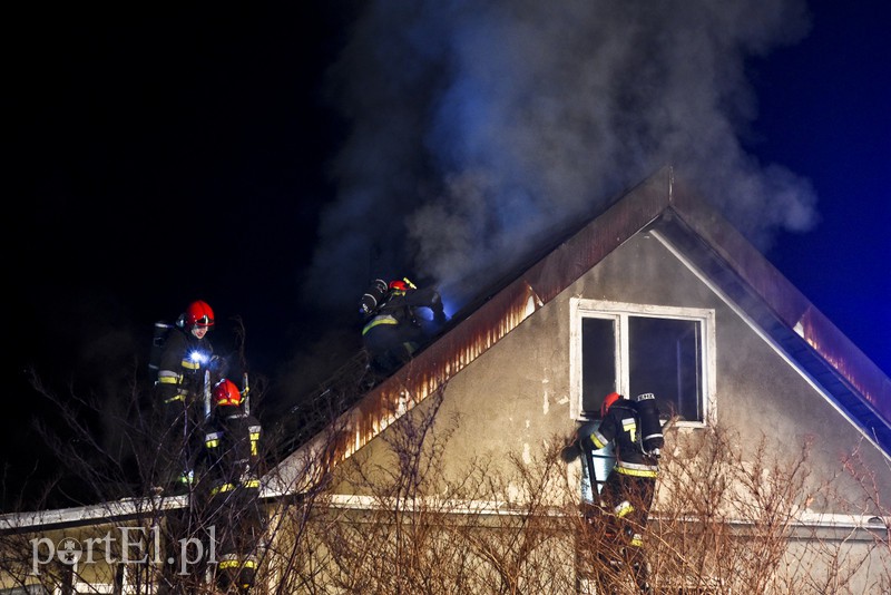 Pożar domku jednorodzinnego przy ul. Niborskiej zdjęcie nr 169983