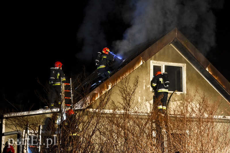 Pożar domku jednorodzinnego przy ul. Niborskiej zdjęcie nr 169982