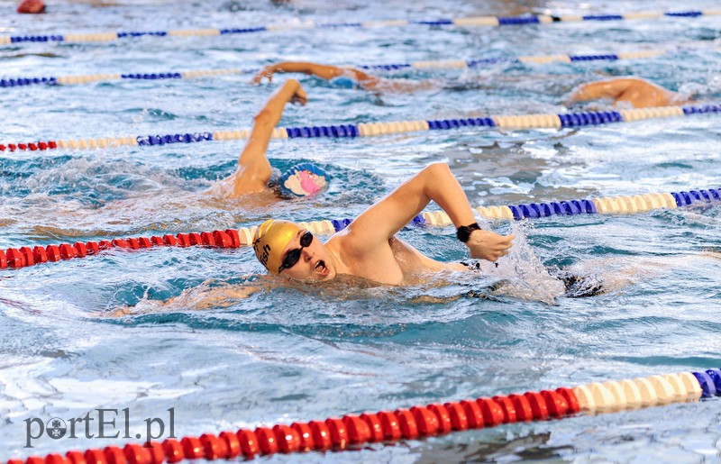 Przygotowania do triathlonu zdjęcie nr 170298