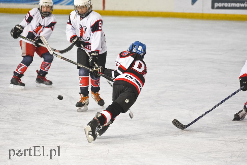 Hokej bezkontaktowy zdjęcie nr 170494
