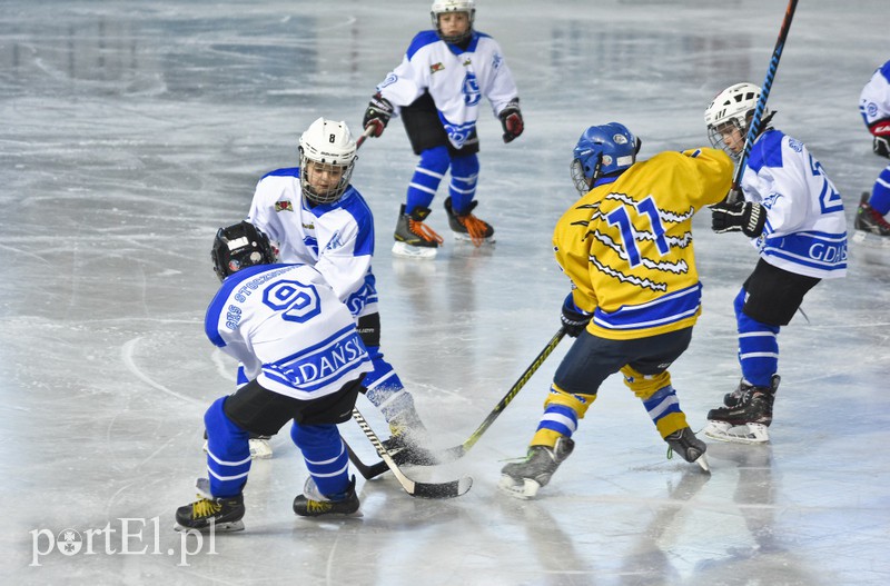 Hokej bezkontaktowy zdjęcie nr 170509