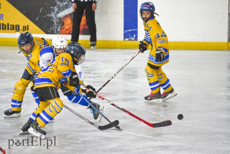 Hokej bezkontaktowy zdjęcie nr 170521