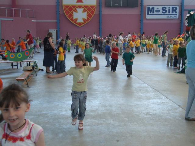 Kwiaty na Karowej zdjęcie nr 13461