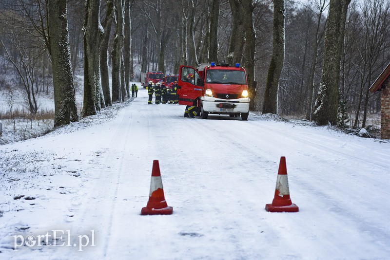 Elbląg Ślisko na drogach, kobieta uderzyła w drzewo