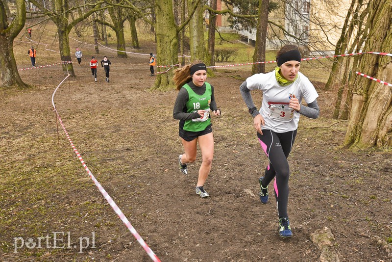 Biegiem po parku Modrzewie zdjęcie nr 171994