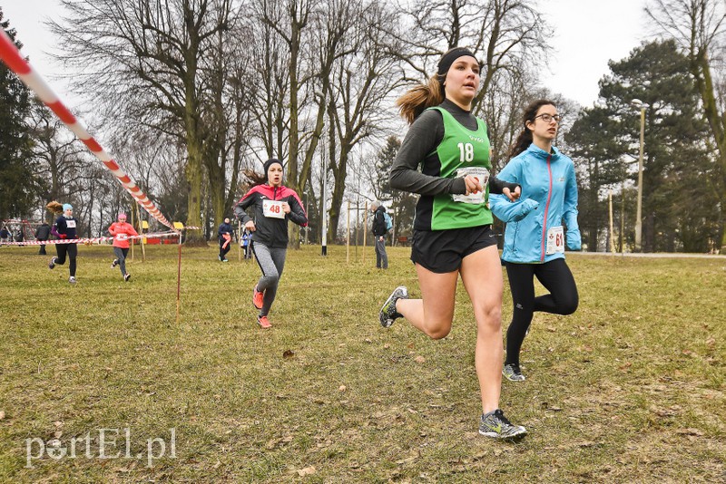 Biegiem po parku Modrzewie zdjęcie nr 171992