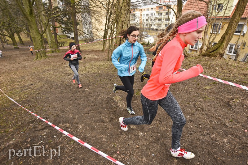 Biegiem po parku Modrzewie zdjęcie nr 171996
