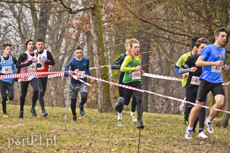 Biegiem po parku Modrzewie zdjęcie nr 171985