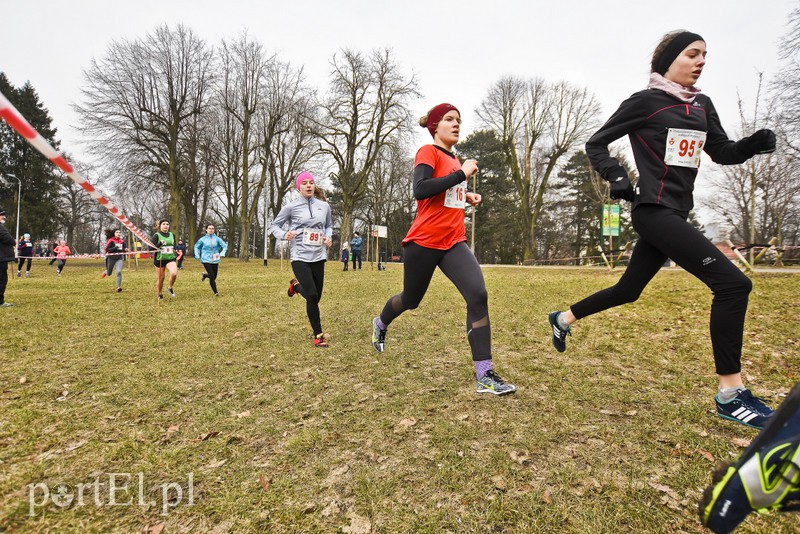 Biegiem po parku Modrzewie zdjęcie nr 171991