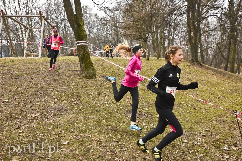 Biegiem po parku Modrzewie zdjęcie nr 171977