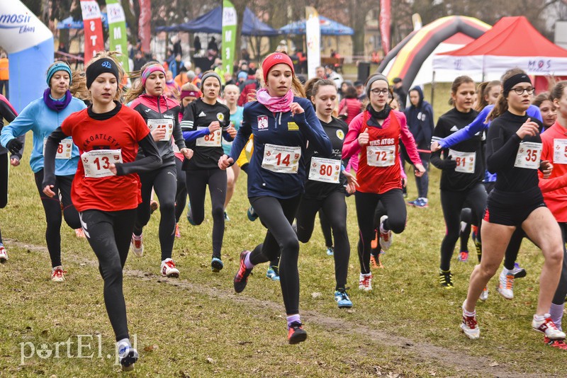 Biegiem po parku Modrzewie zdjęcie nr 171973