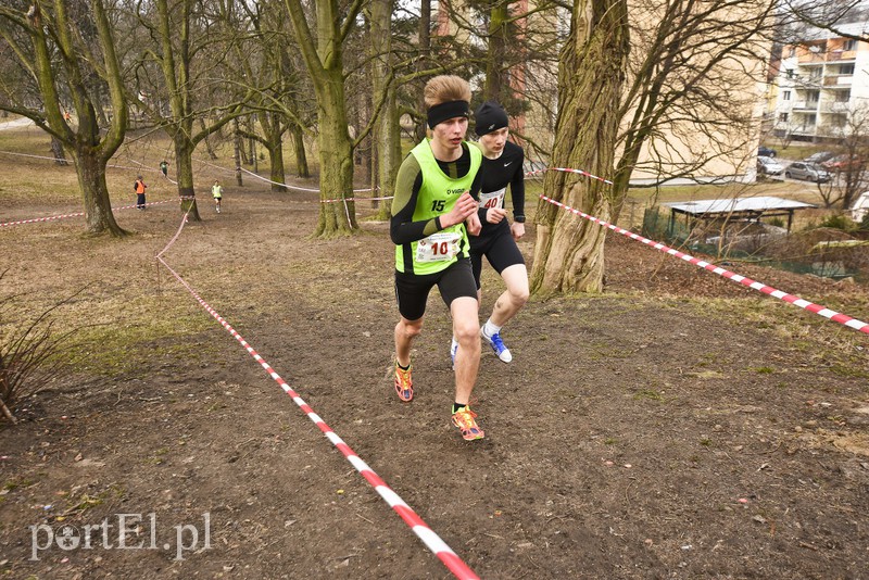 Biegiem po parku Modrzewie zdjęcie nr 172002