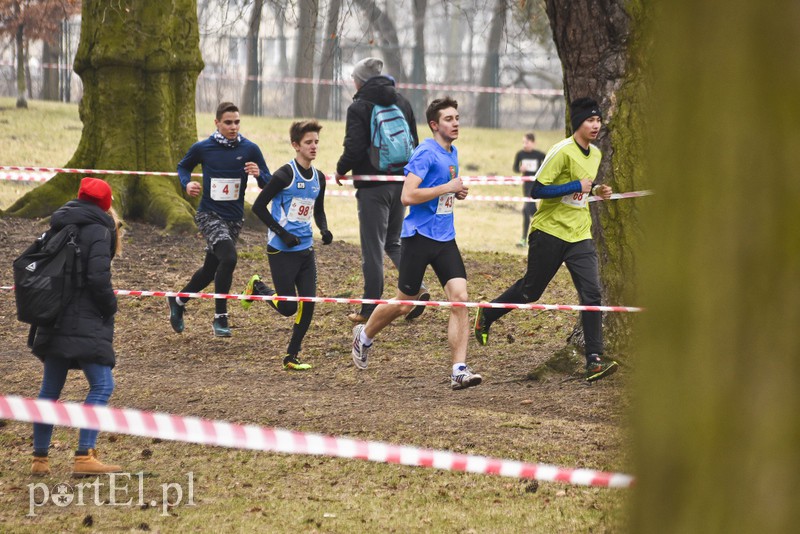 Biegiem po parku Modrzewie zdjęcie nr 171986