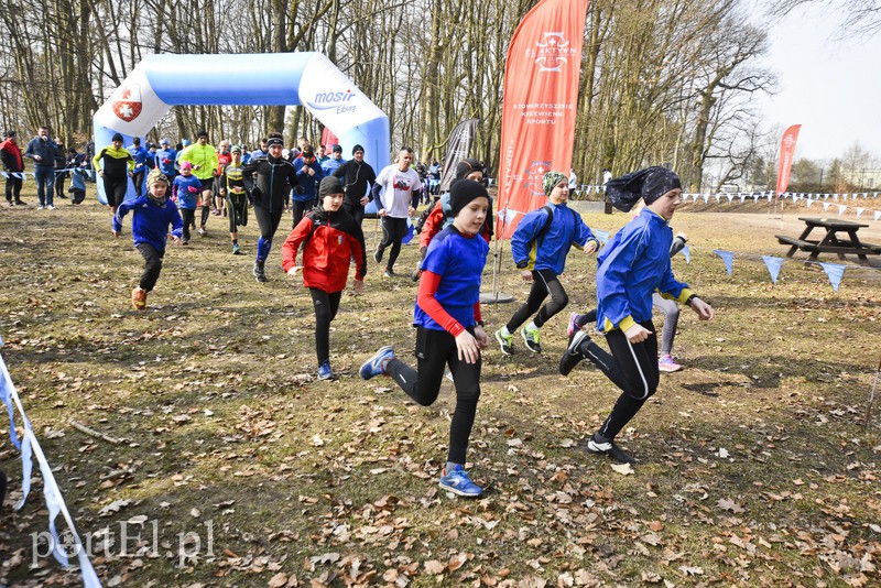 I Elbląski Bieg Wiosny zdjęcie nr 172197