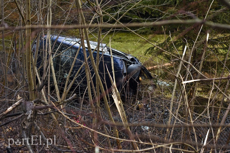 Audi po wypadku rozpadło się na pół zdjęcie nr 172624