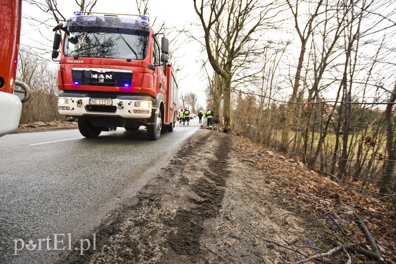 Audi po wypadku rozpadło się na pół zdjęcie nr 172636