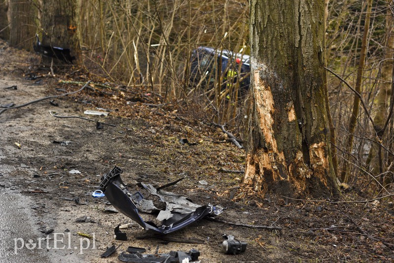 Audi po wypadku rozpadło się na pół zdjęcie nr 172627