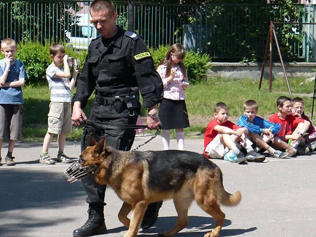 Dzień Dziecka w SP21 zdjęcie nr 13609