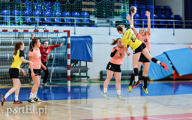 Pantery lepsze od Truso zdjęcie nr 172749