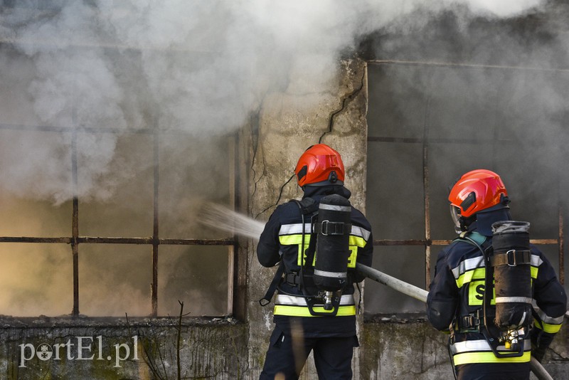 Pożar pustostanu przy ul. Druskiej zdjęcie nr 172879