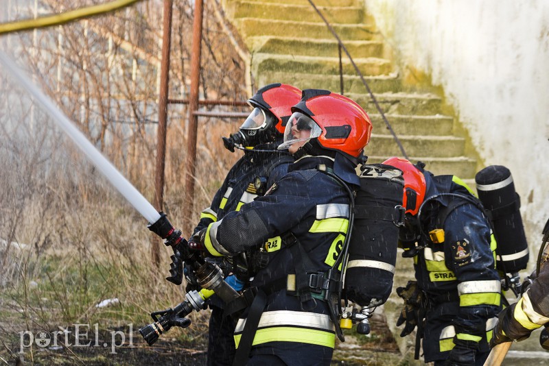 Pożar pustostanu przy ul. Druskiej zdjęcie nr 172890