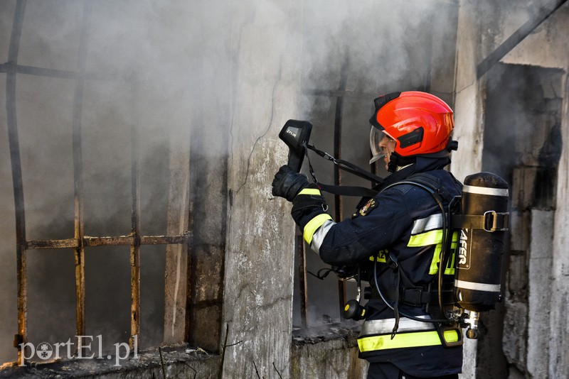Pożar pustostanu przy ul. Druskiej zdjęcie nr 172882